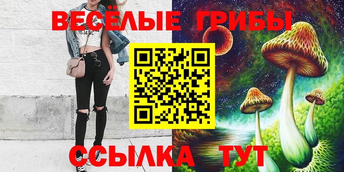 Белогорск  Псилоцибиновые грибы GOLDEN TEACHER  Вход с VPN 